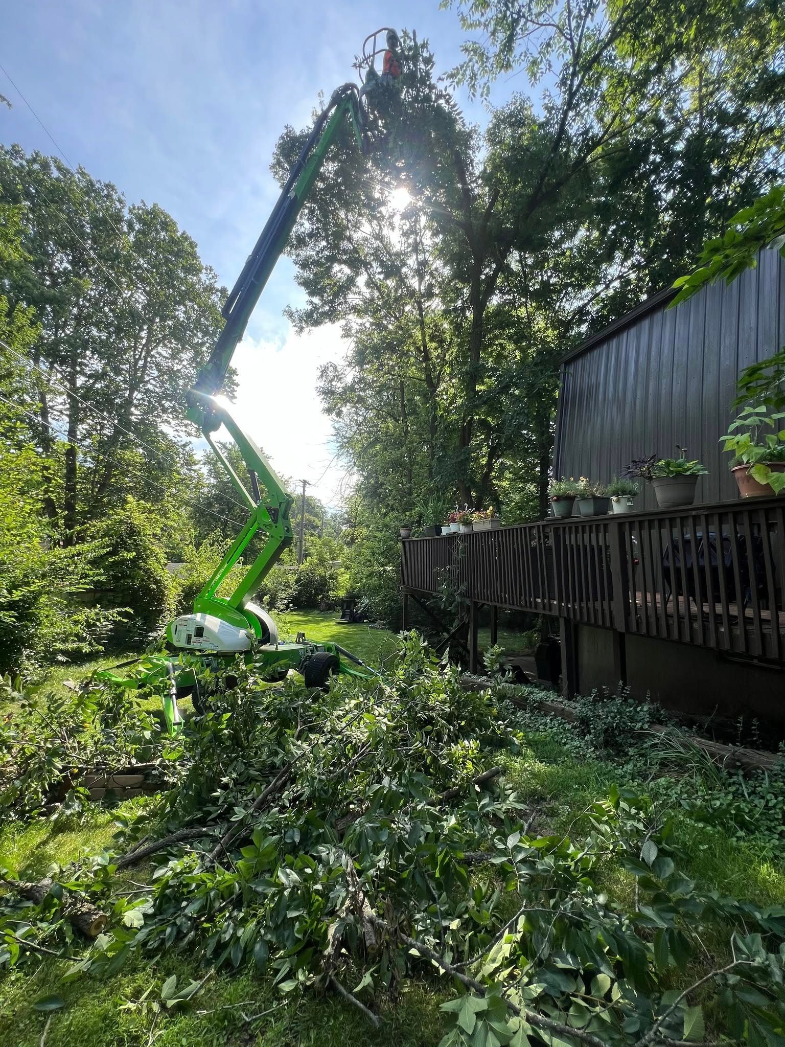 A green crane is cutting a tree in front of a house.