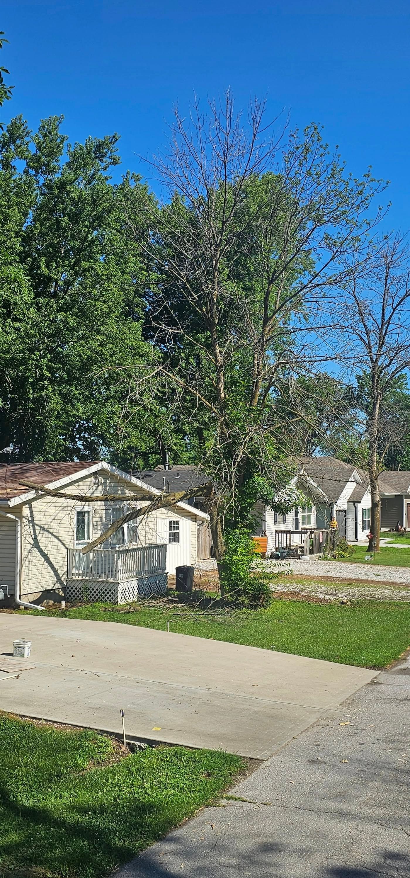 A row of houses sitting next to each other on a sunny day.