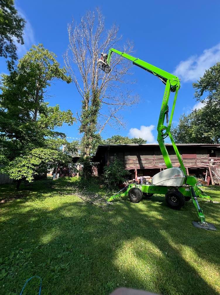 A green crane is cutting a tree in front of a house.