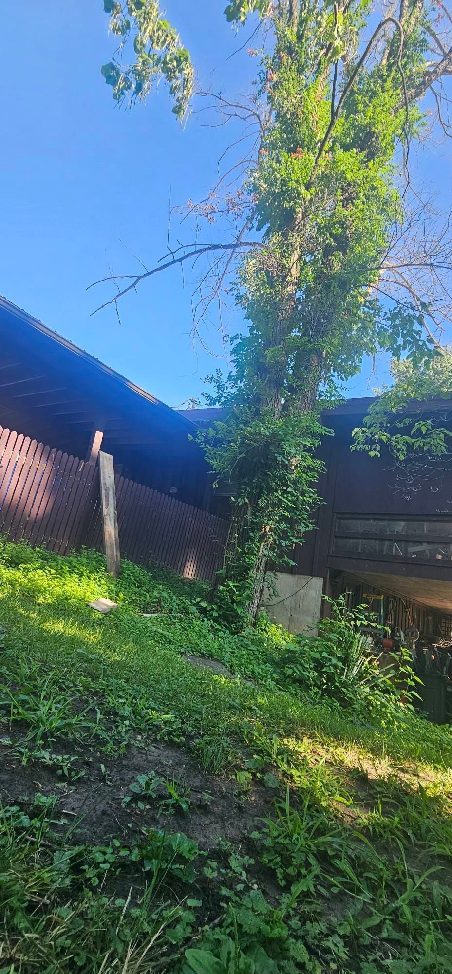 A house with a blue roof and a tree in front of it.