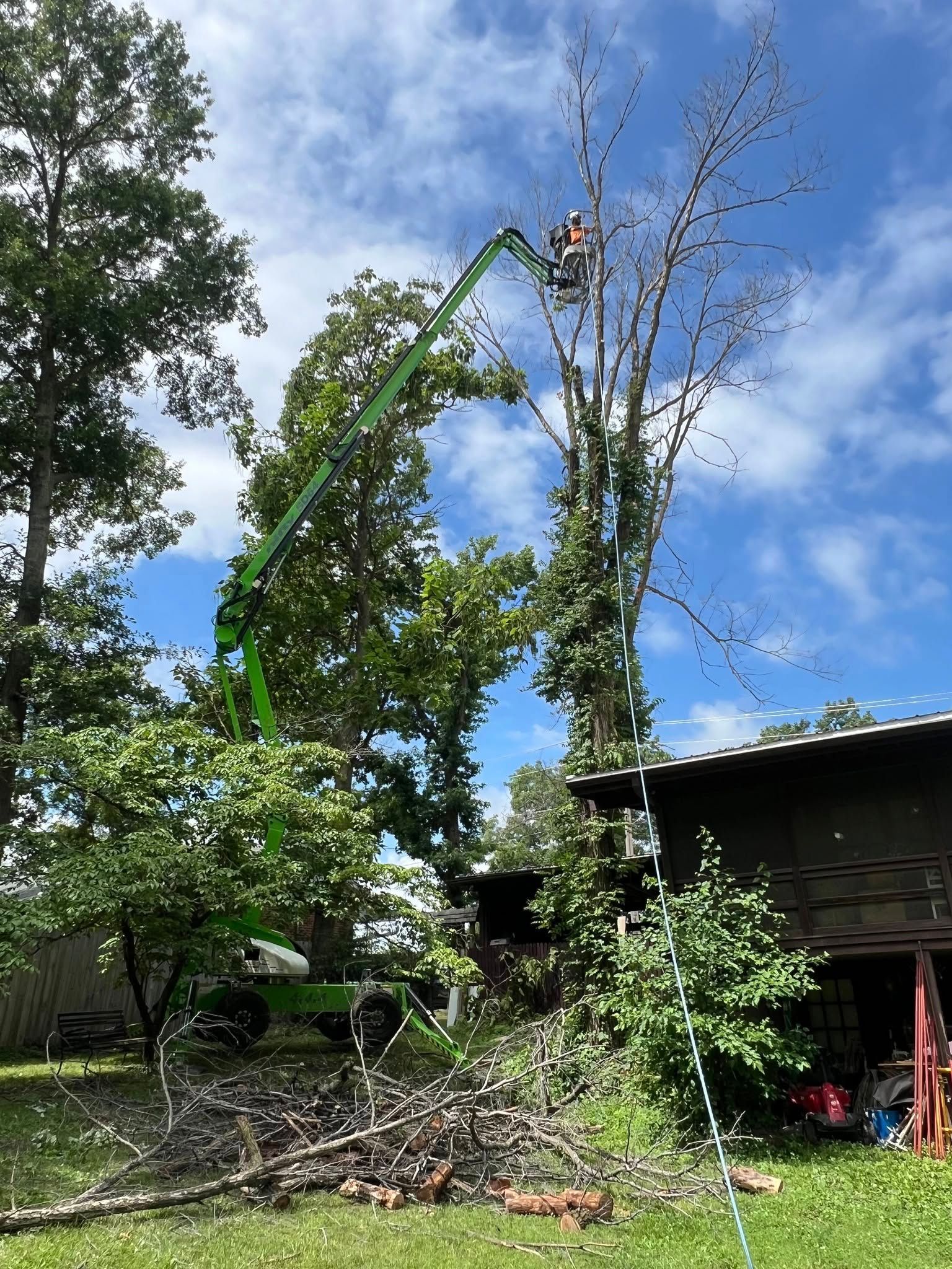 A man is cutting a tree with a crane in front of a house.