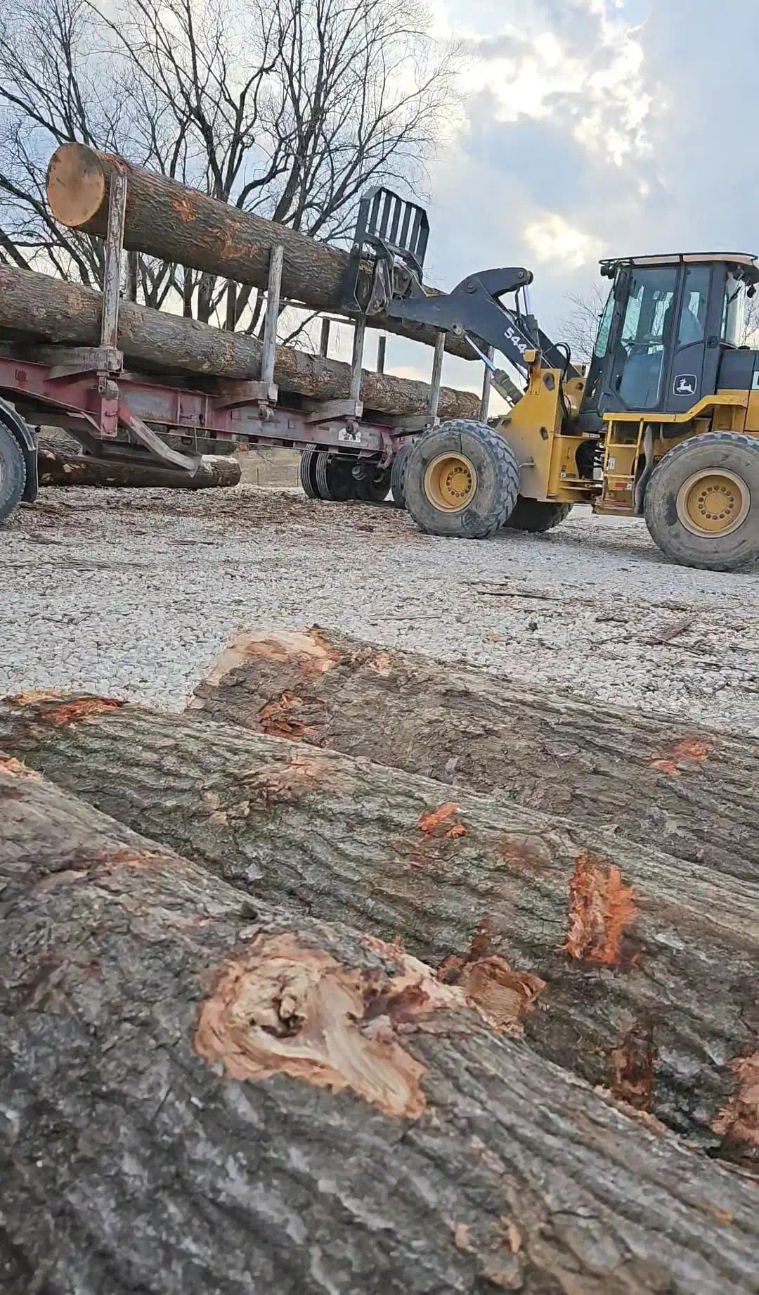 A bulldozer is loading logs onto a trailer.