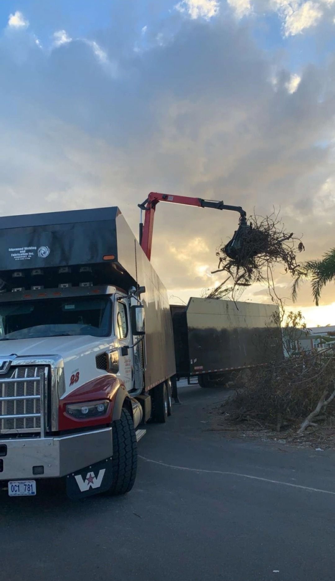 A semi truck with a crane attached to it is carrying a load of branches.