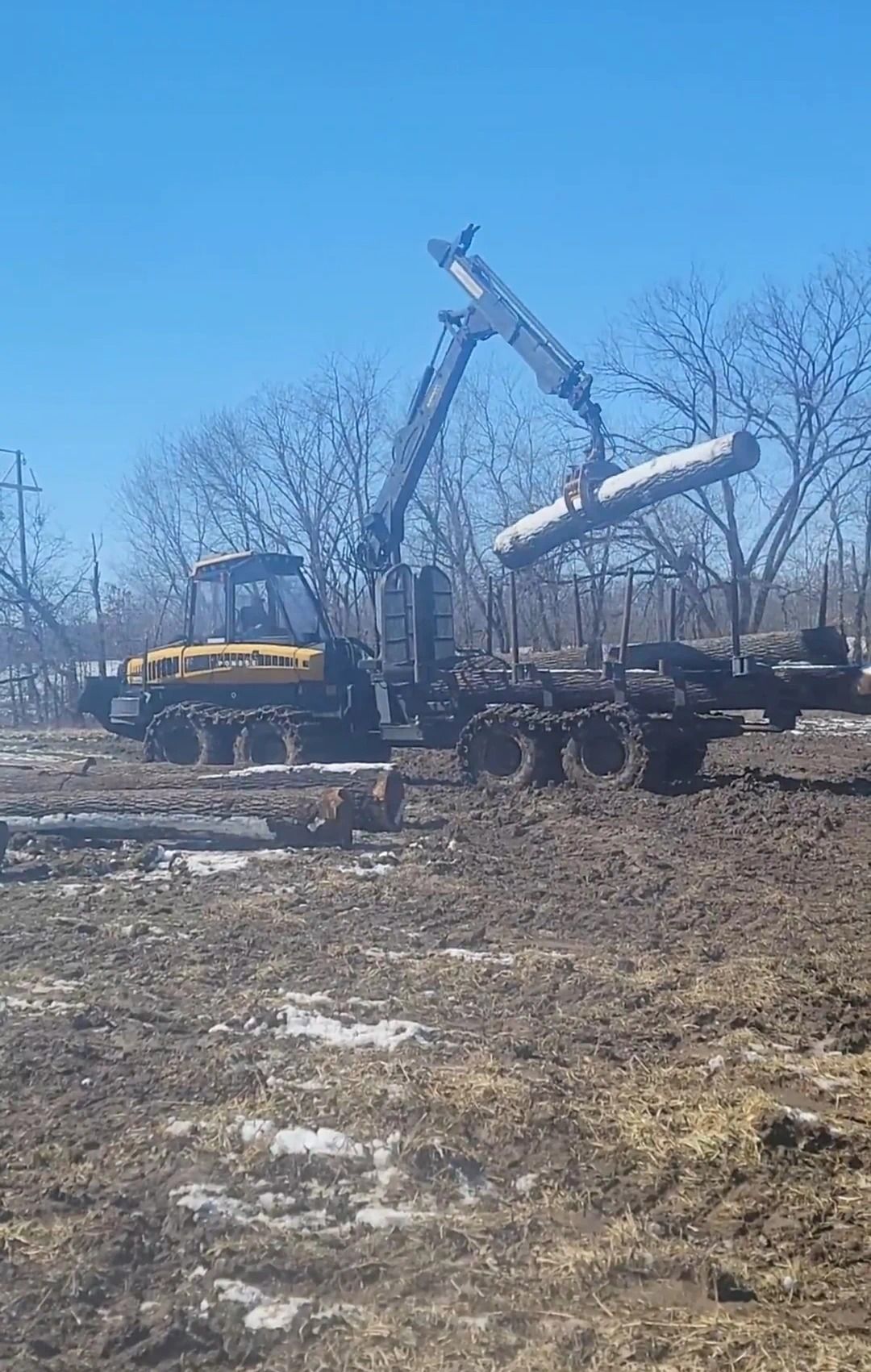 A crane is lifting a log onto a trailer in a field.