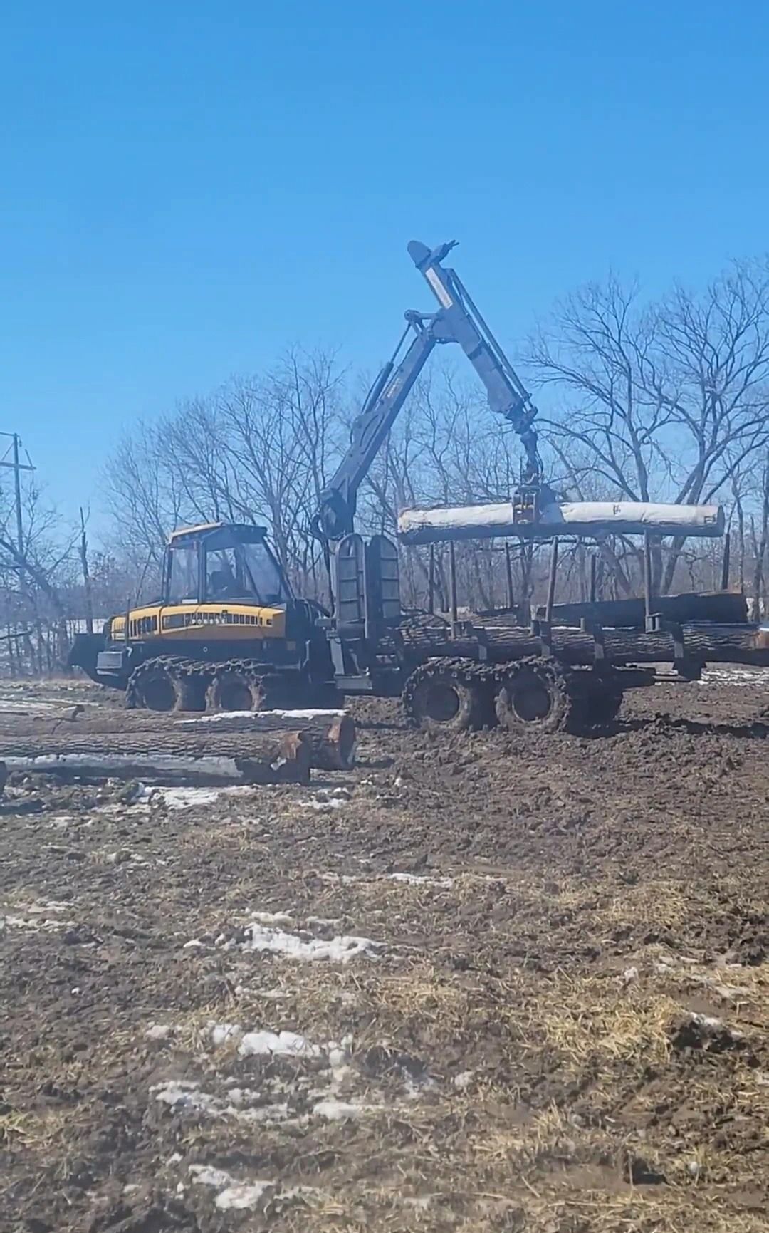A tractor is carrying logs on a trailer in a field.