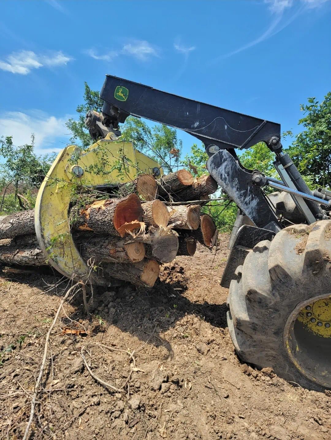 A tractor is carrying a pile of logs in a field.