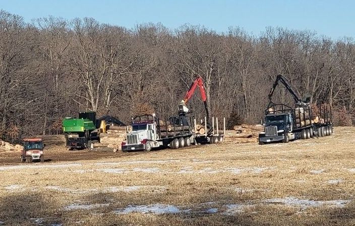 A group of trucks are parked in a field with trees in the background.
