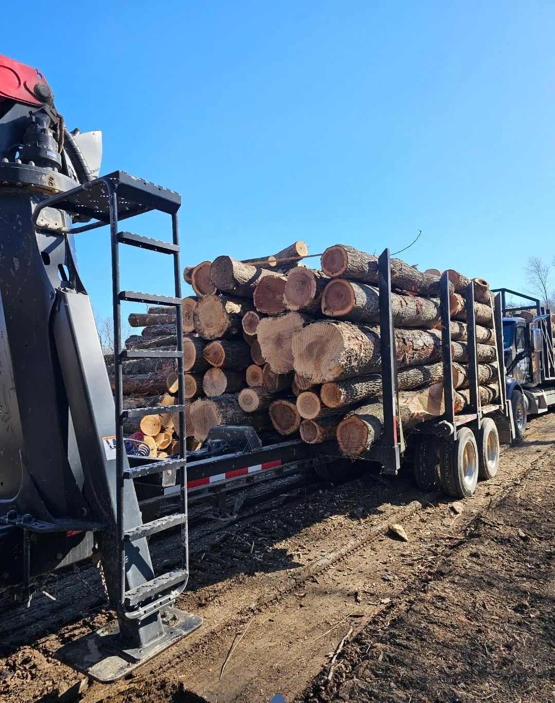 A truck filled with logs is parked on the side of the road.