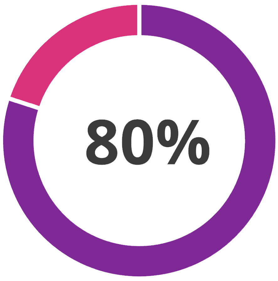 80% circle pie graphic