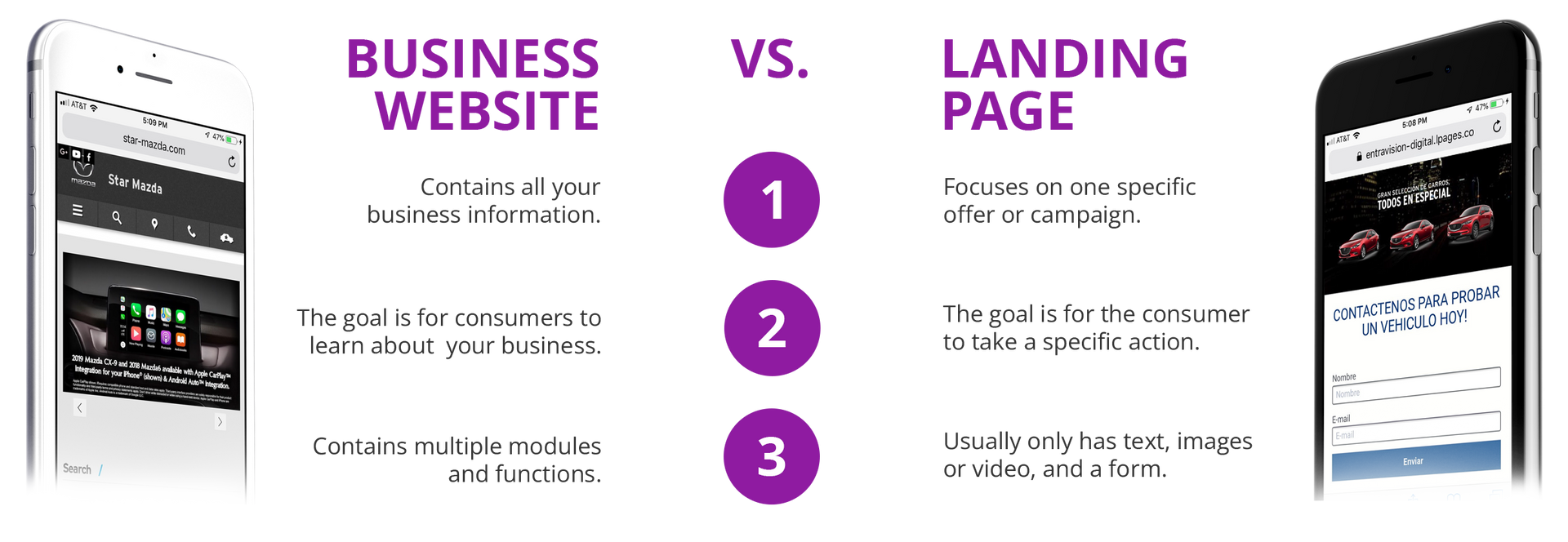 Business website vs landing page comparison