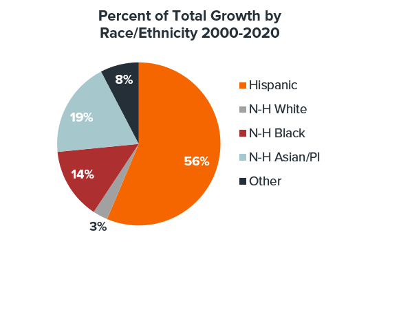 Graphic abput Total Growth by Race 2000-2020