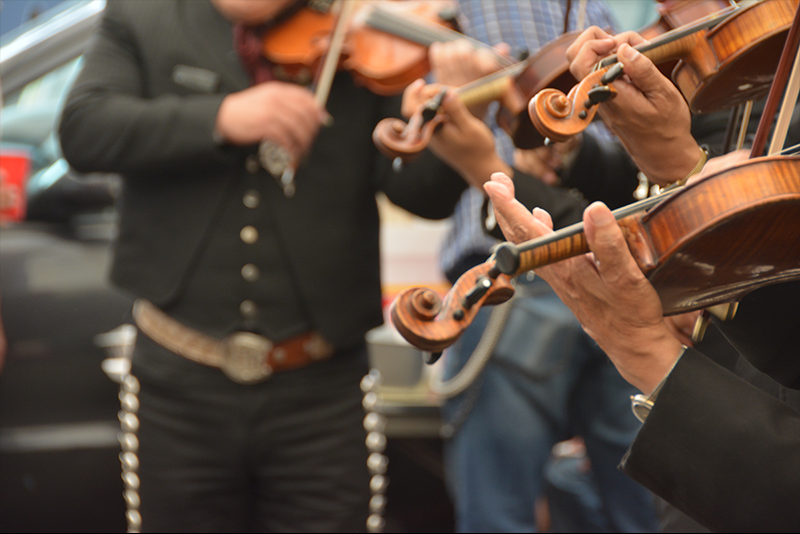 A group of people are playing violins in a band