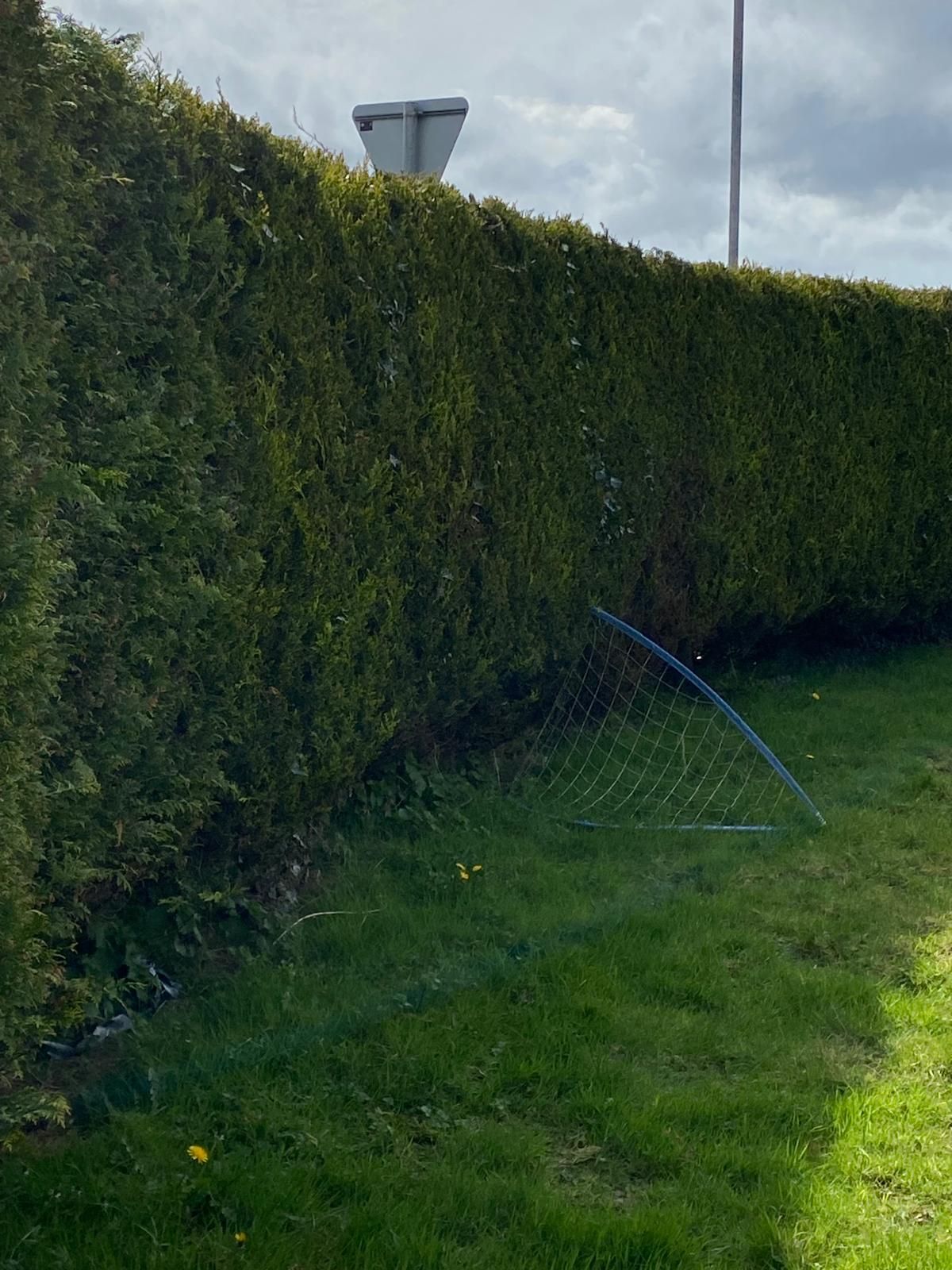 Soccer goal on green grass next to a tall, green hedge under a cloudy sky.