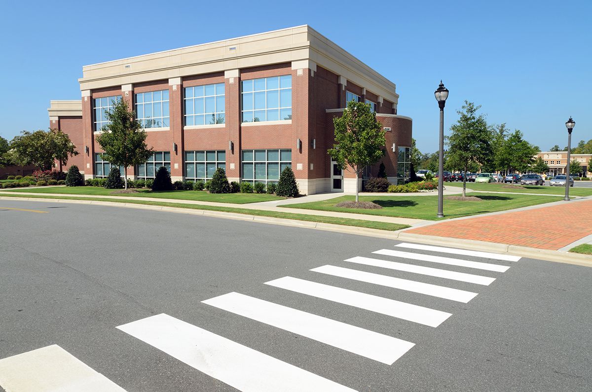 Tree & Shrub Care