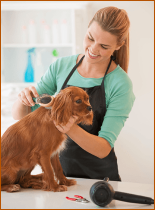   Woman grooming dog