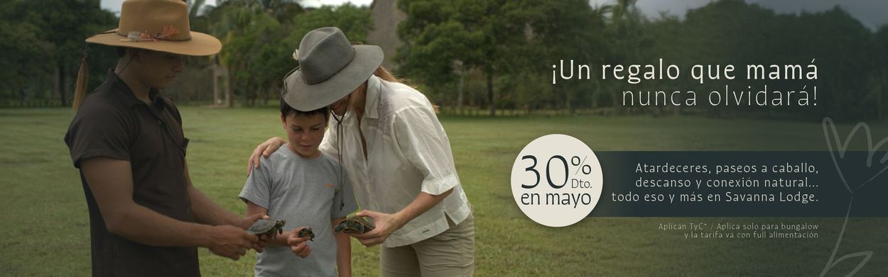 Descuento del 30 por ciento savanna