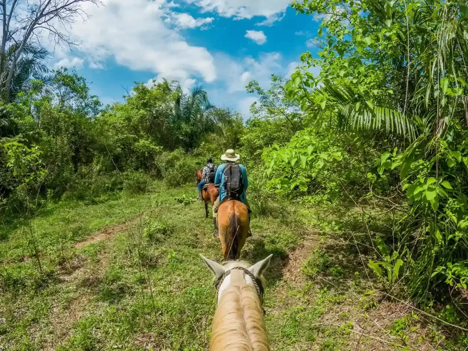 Plan romántico en Casanare, pareja explorando senderos ecológicos de Savanna Orinoquía Lodge rodeados de fauna y flora.