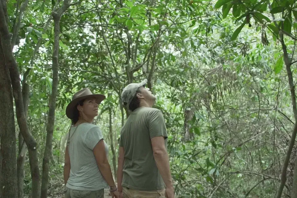Qué hacer en Casanare en pareja, tour de naturaleza y conexión con el llano en Savanna Orinoquía Lodge.