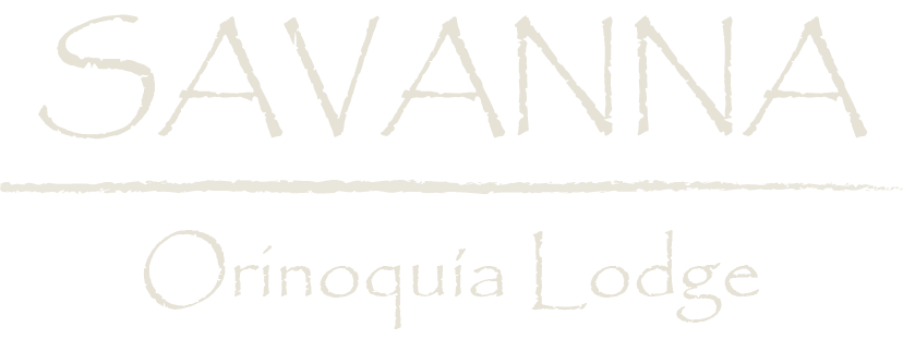 logo hotel savanna orinoquia