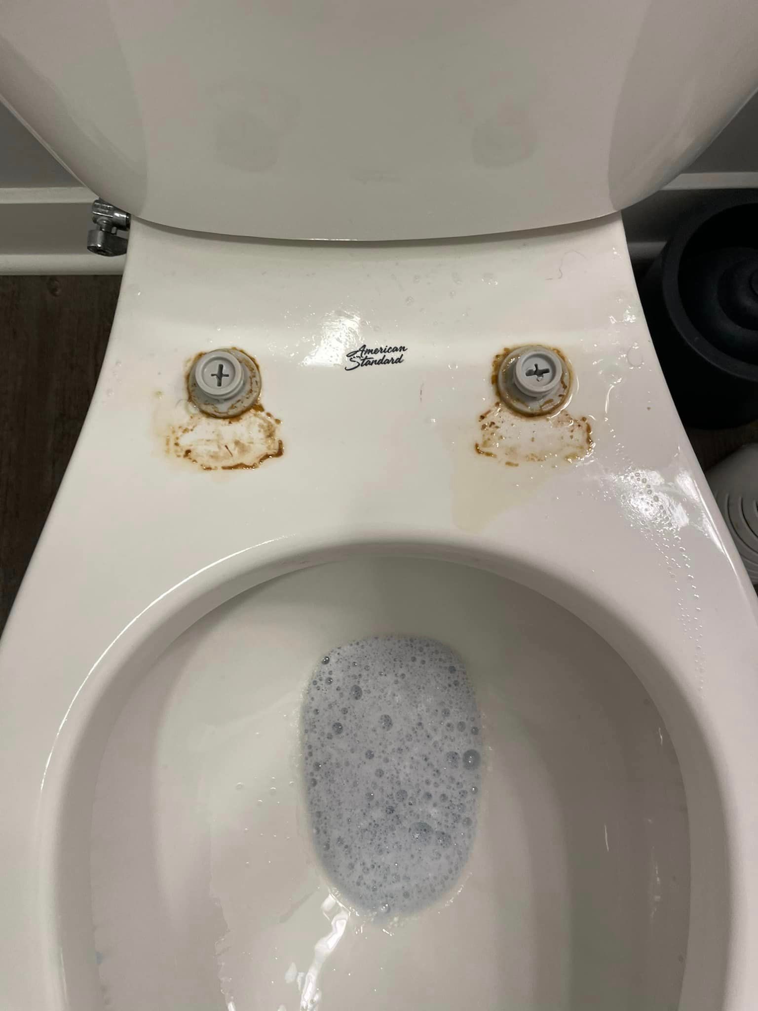 Before Cleaning The Toilet Bowl — Owensboro, KY — Nella's Cleaning Company