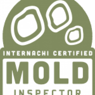 internachi certified mold inspector