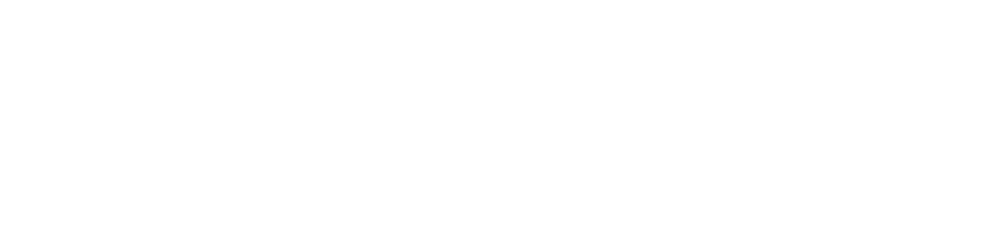 A logo for caroline sehon md fabp