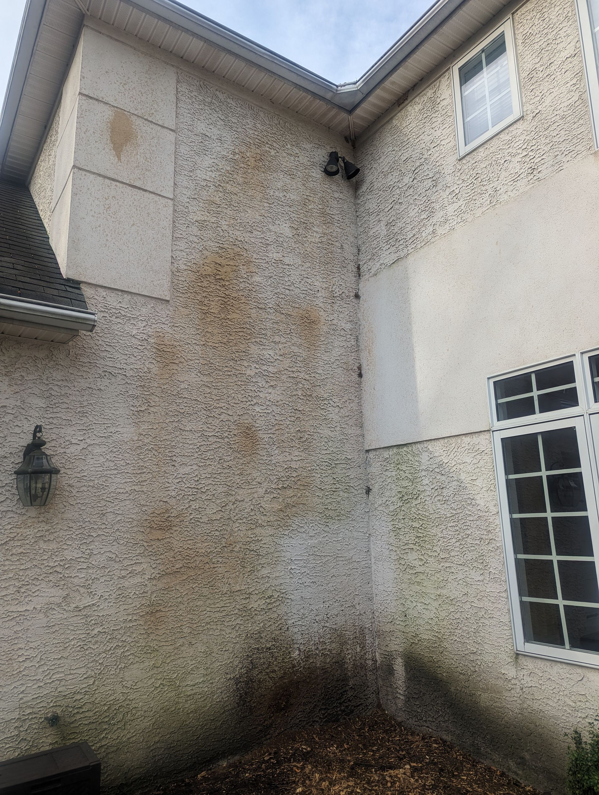 Pollen Staining on Stucco - Soft Washing Service