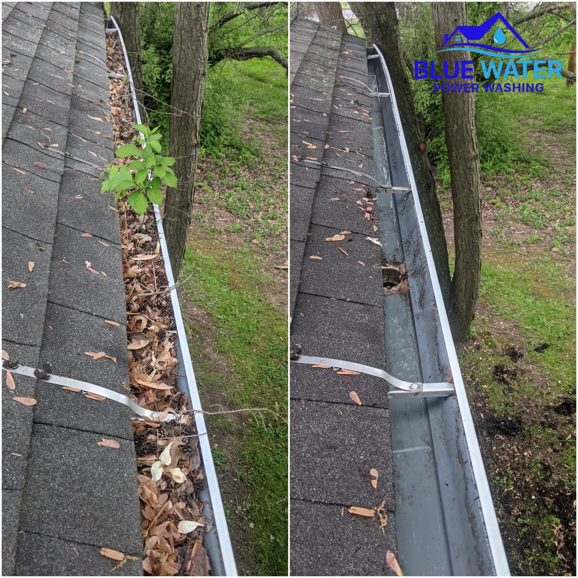 Gutter Cleaning Service in Blue Bell PA