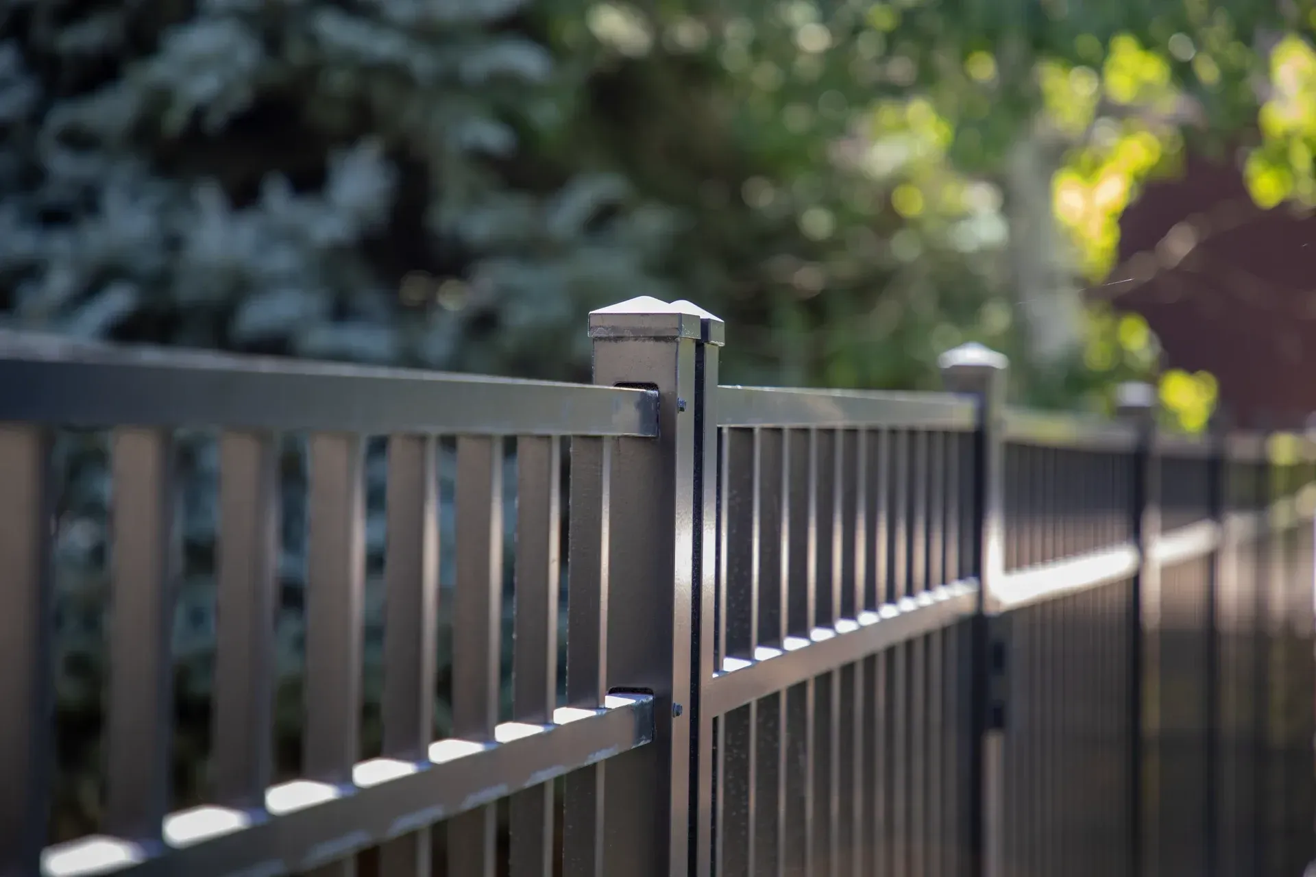 Black metal fence with vertical bars, in front of blurry trees and sunlight.