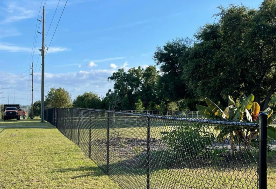 A black chain-link fence borders a grassy area with trees and a utility pole under a blue sky.