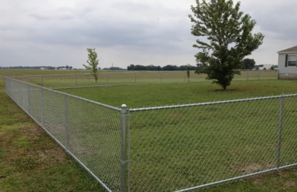 Chain-link fence encloses a grassy yard with a tree on a cloudy day.
