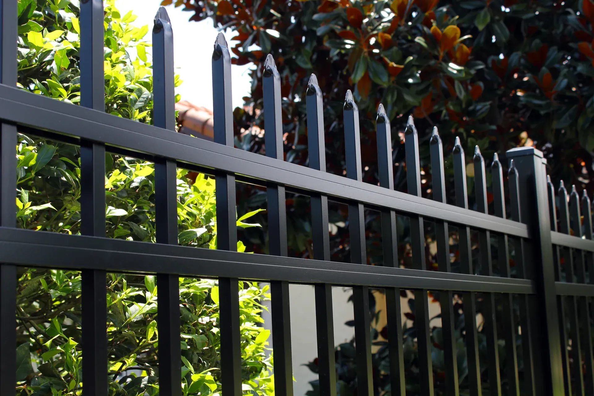 Black metal fence with sharp spear-like points on top, in front of green bushes and trees.