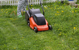 Person mowing a grassy lawn with an orange and black push mower near a white fence