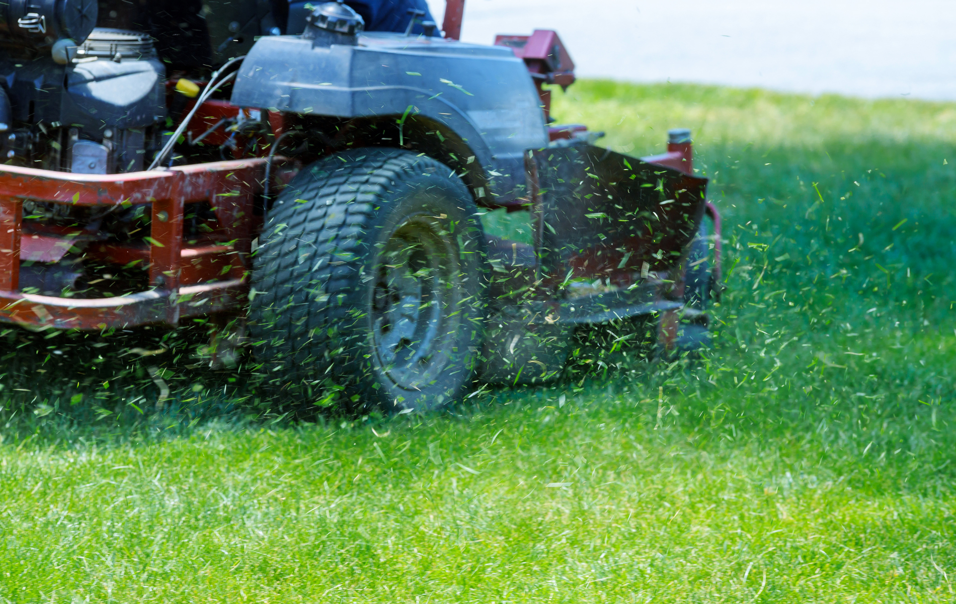Lawn mower cutting wet grass, spraying clippings across a green lawn.