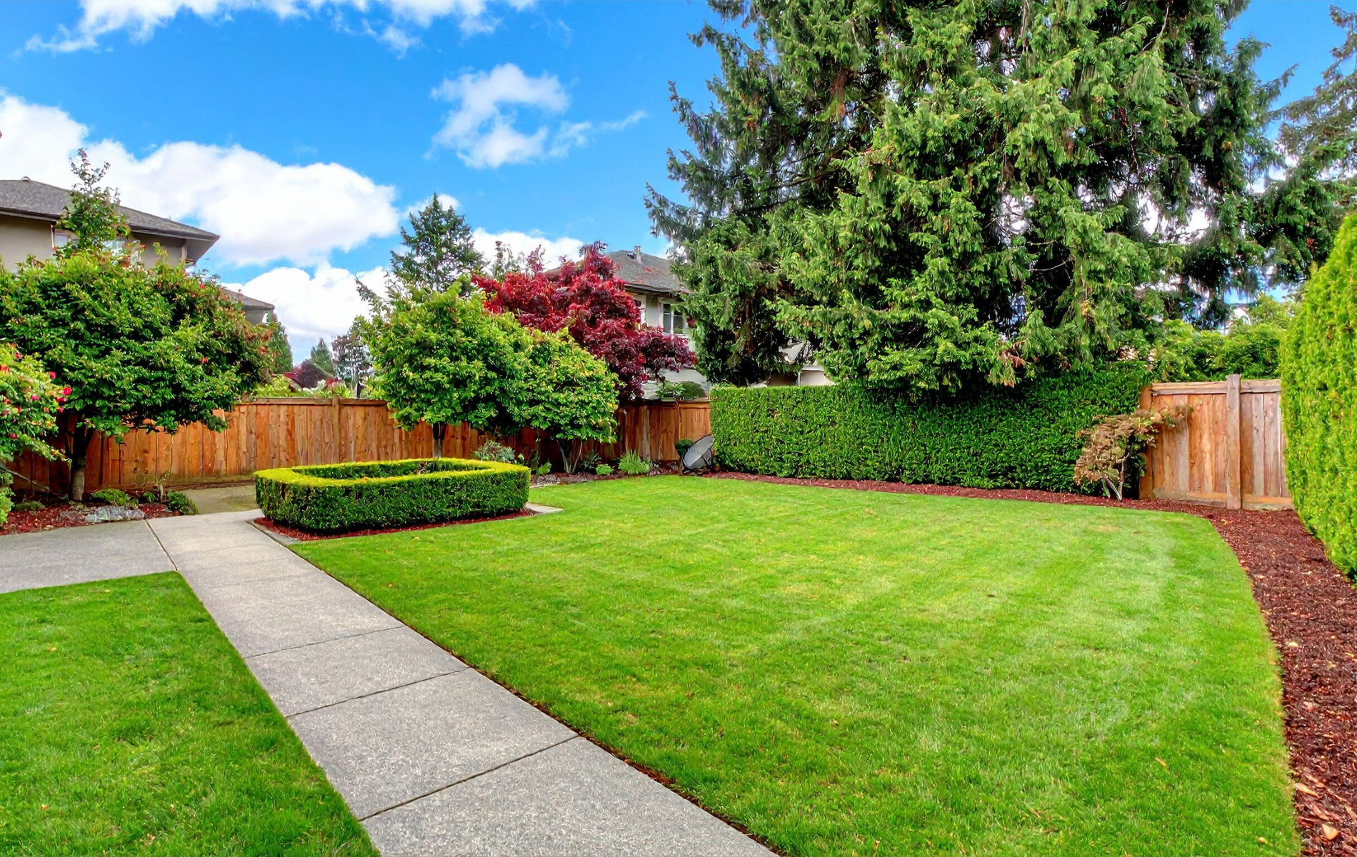 Backyard with green lawn, concrete path, wooden fence, and trees under a bright blue sky
