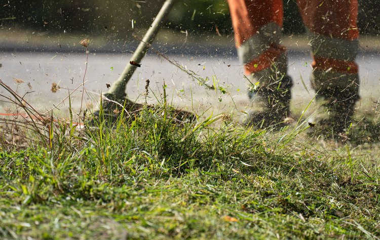 Lawn trimmer cutting wet grass beside a road, with orange-clad worker’s legs visible.