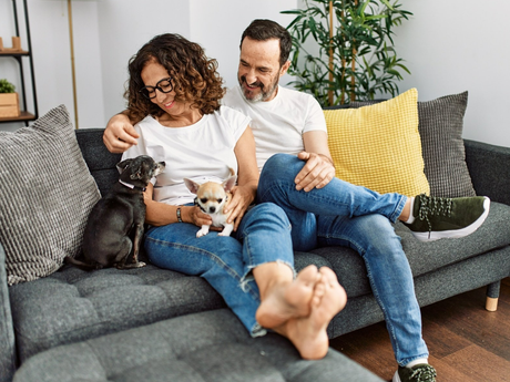 Couple sitting on couch with two dogs