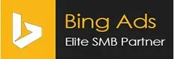 the bing logo