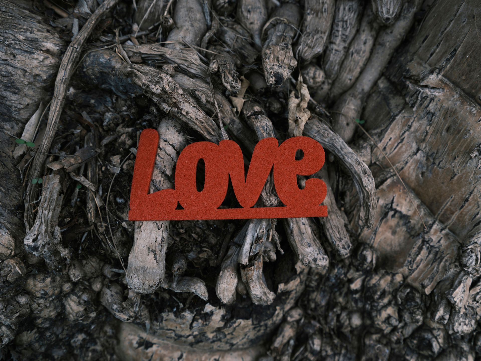 Letras vermelhas "LOVE" sobre um fundo texturizado de raízes ou madeira emaranhadas.