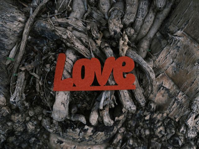 Letras vermelhas "LOVE" sobre um fundo texturizado de raízes ou madeira emaranhadas.