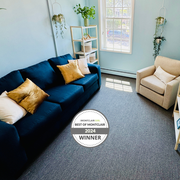 Blue-walled office with a blue couch, beige chair, window, shelves, plants, and gray carpet