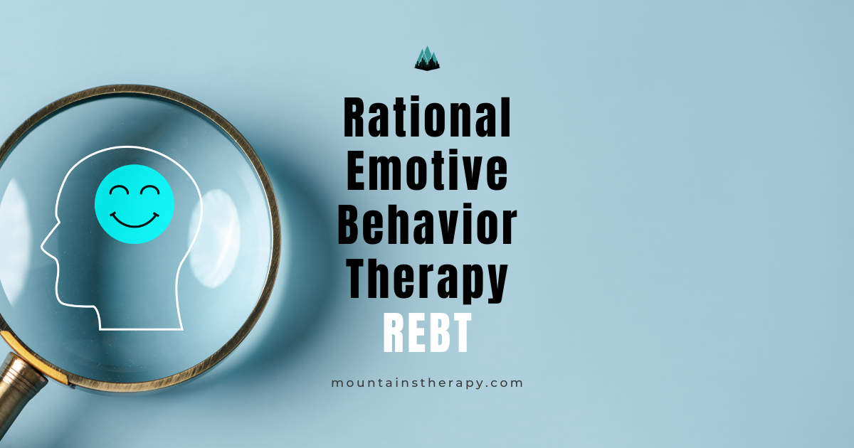 Counselor using Rational Emotive Behavior Therapy in a session.