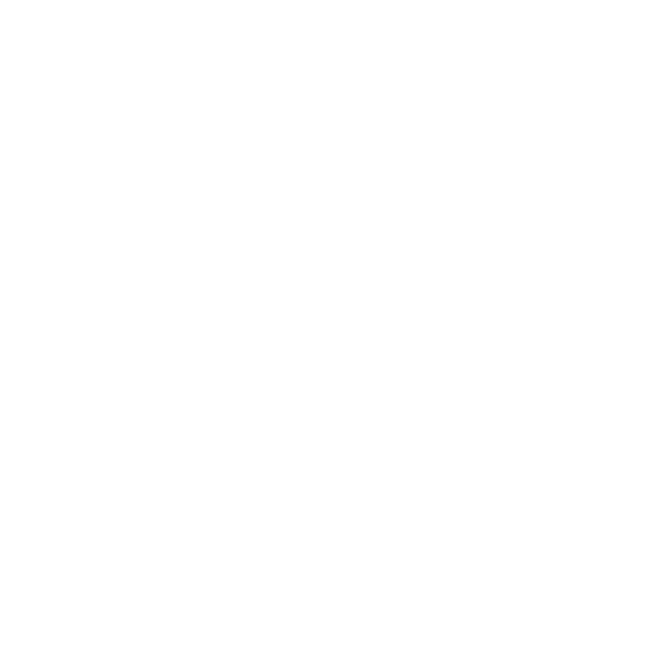 INSTITUTO VITAL