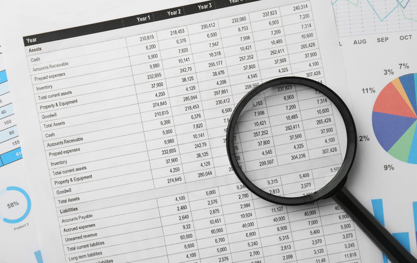 Spreadsheet with magnifying glass, along with pie and bar charts.