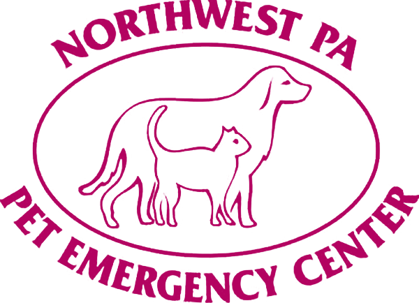 Northwest sales emergency vet