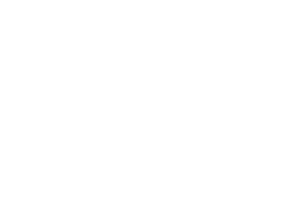 NW PA Pet Emergency Center logo