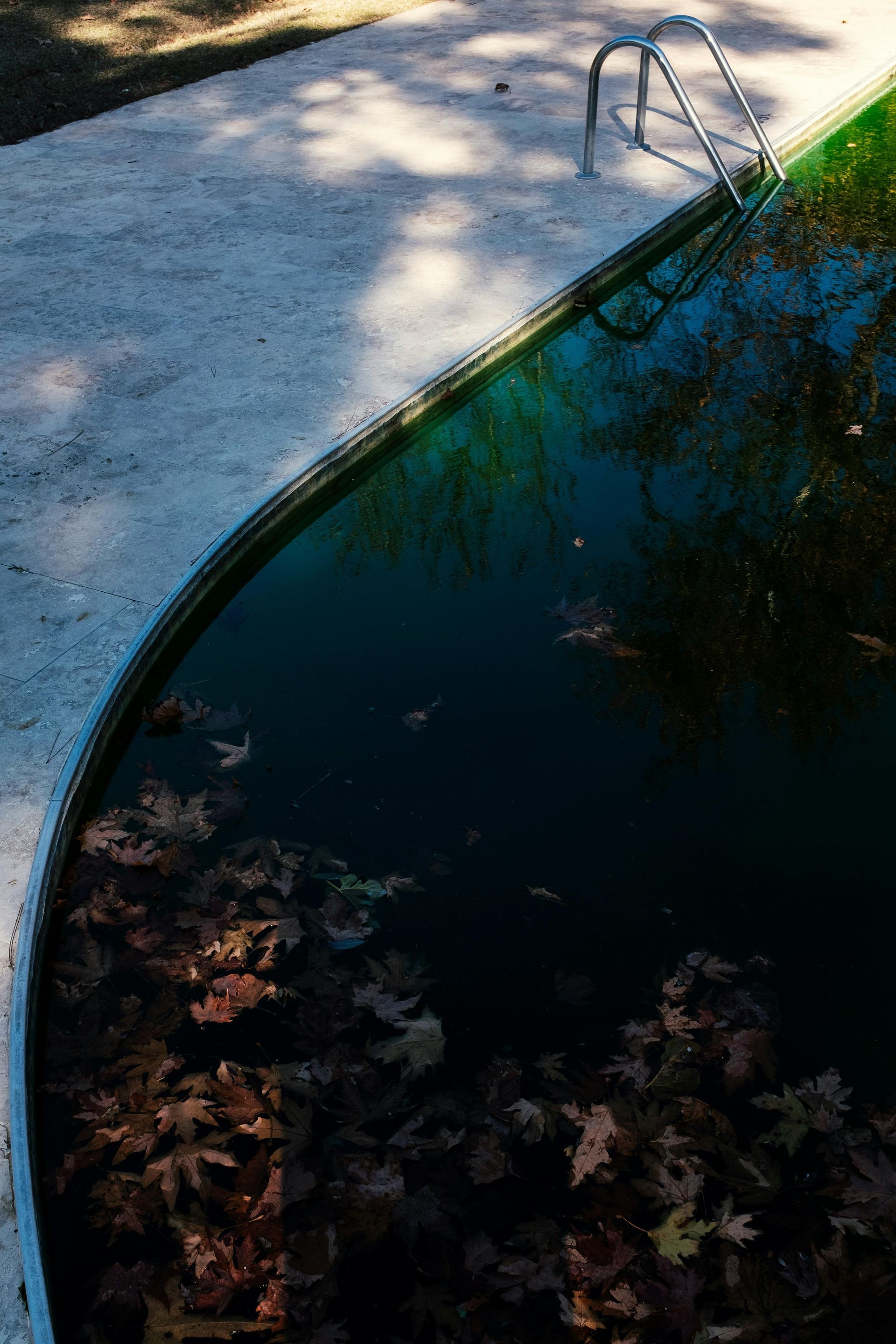 A swimming pool edge with metal handrails, featuring the reflection of a palm tree on the surface of the blue water.