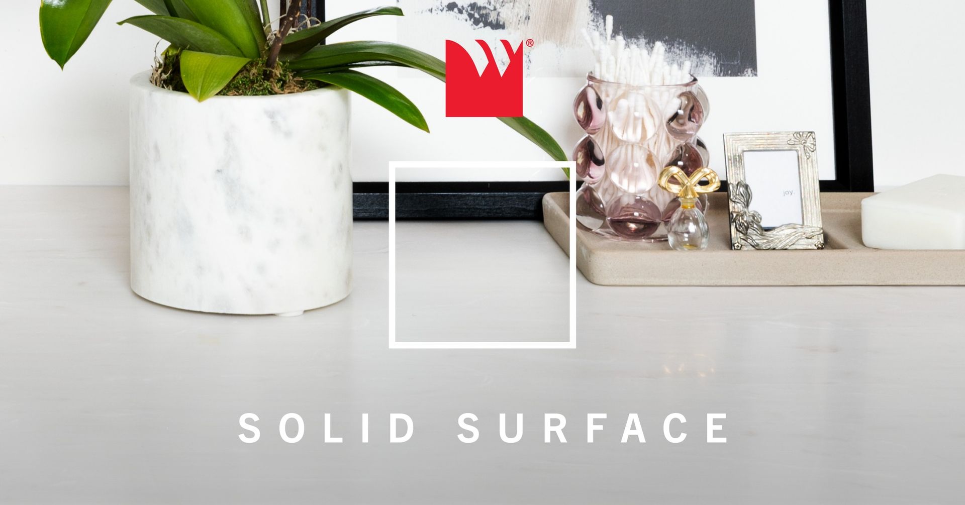 A picture of a potted plant and a tray with the words solid surface below it