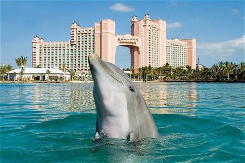 The Atlantis Resort in the Bahamas