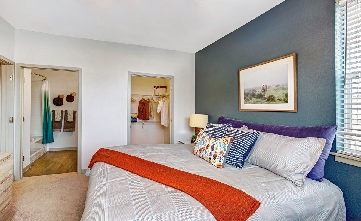 Bedroom with bed, blue accent wall, and open doorways to closet and bathroom.